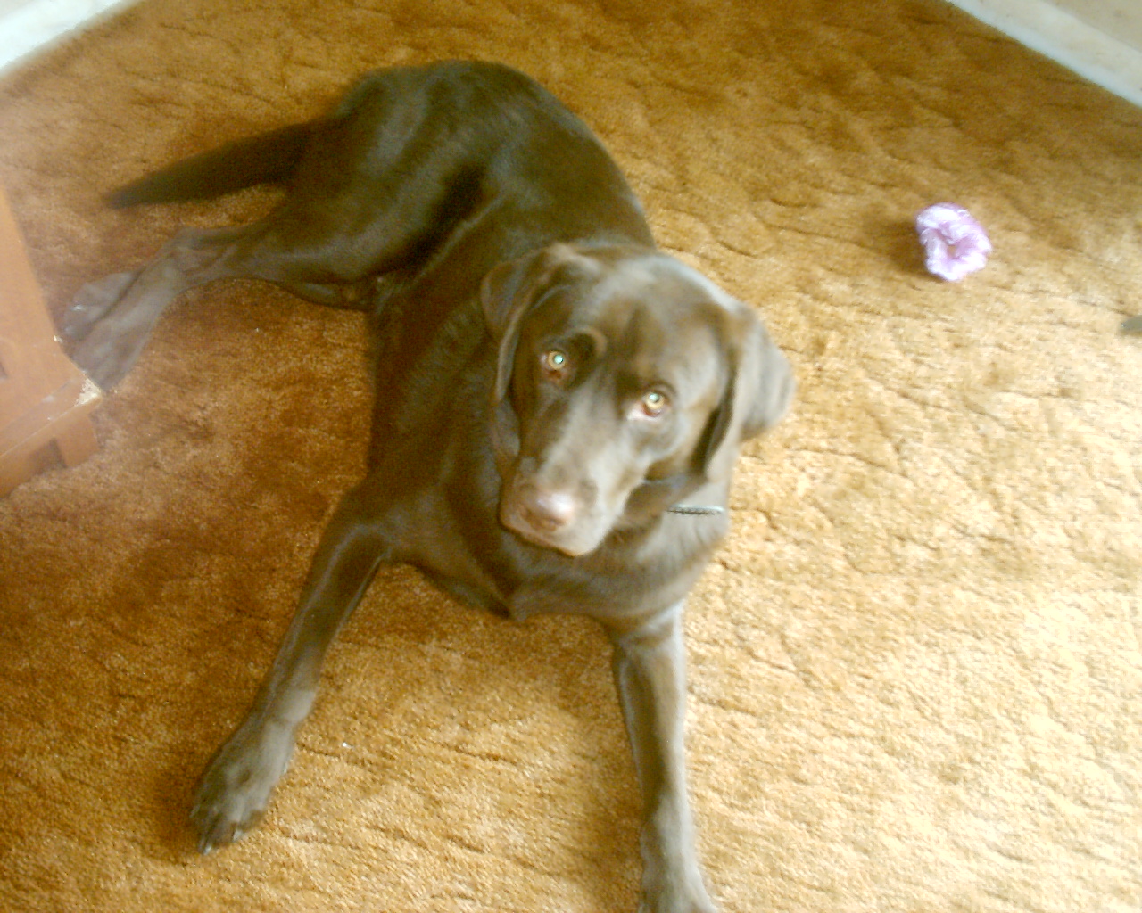 imag0013.jpg