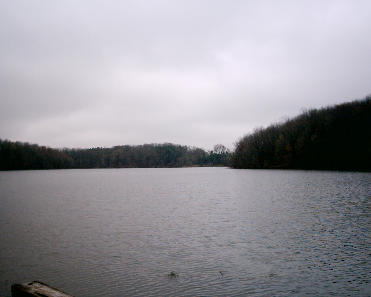 imag0078.jpg