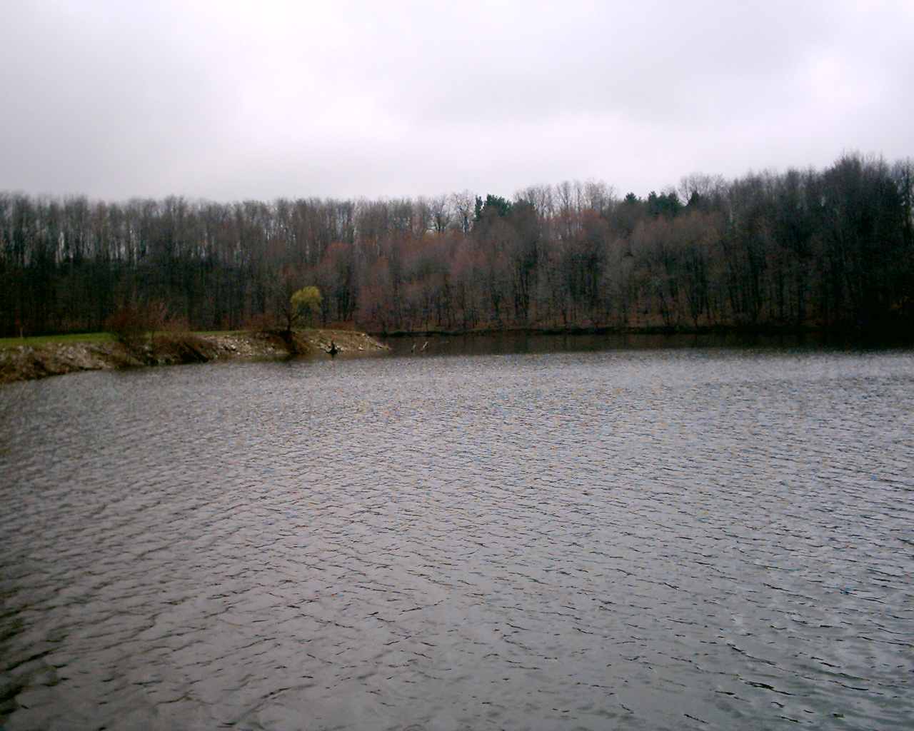 imag0082.jpg