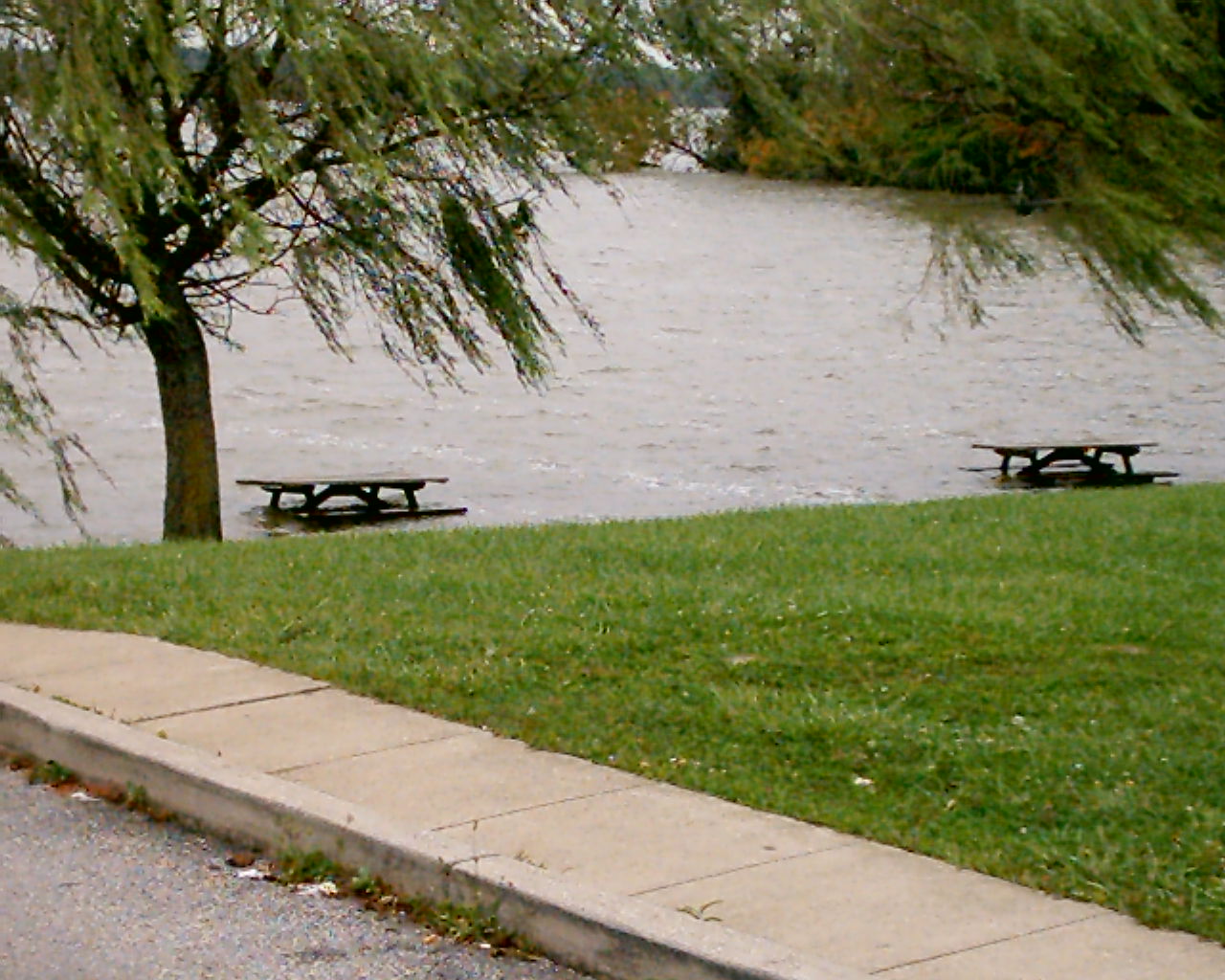 imag0169.jpg